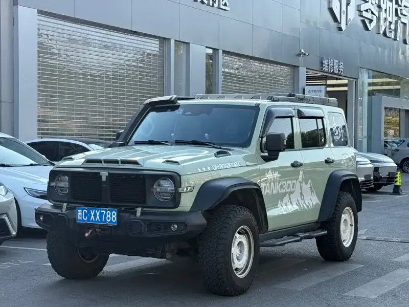 Tank 300
