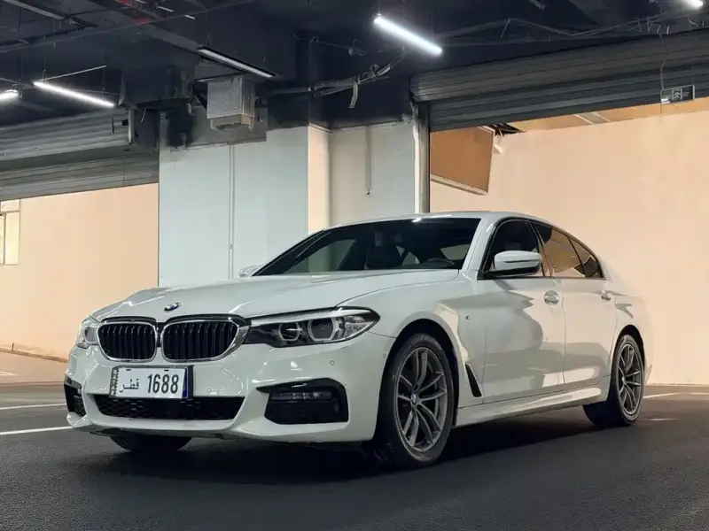 BMW 5 Series (Import)