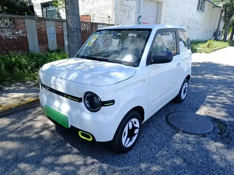Galaxy Panda Mini (Panda)