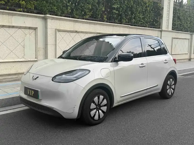Wuling Bingo