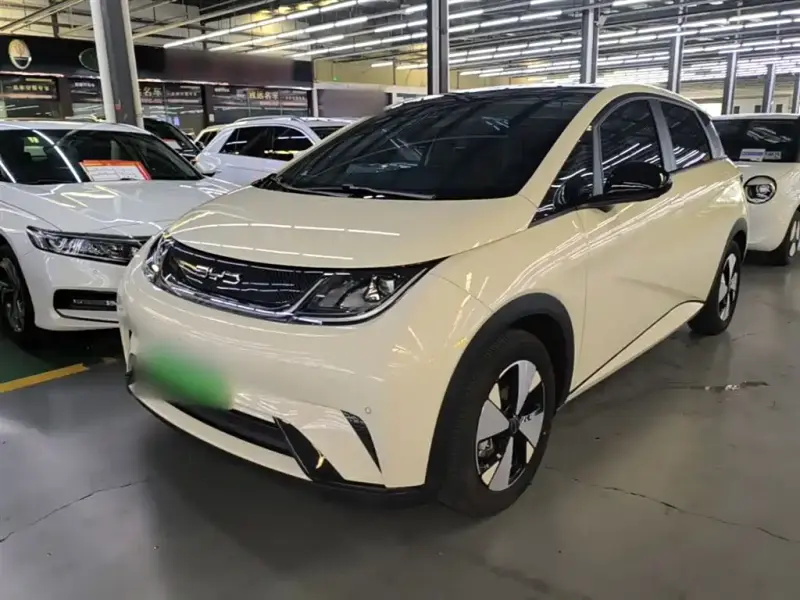BYD Dolphin