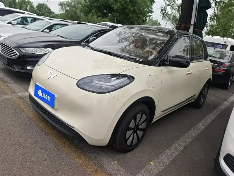 Wuling Bingo