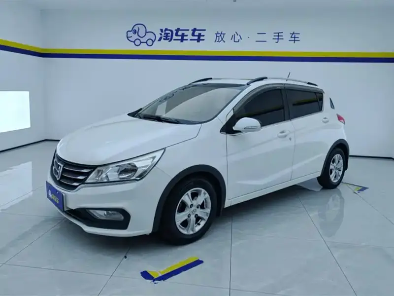 Baojun 310