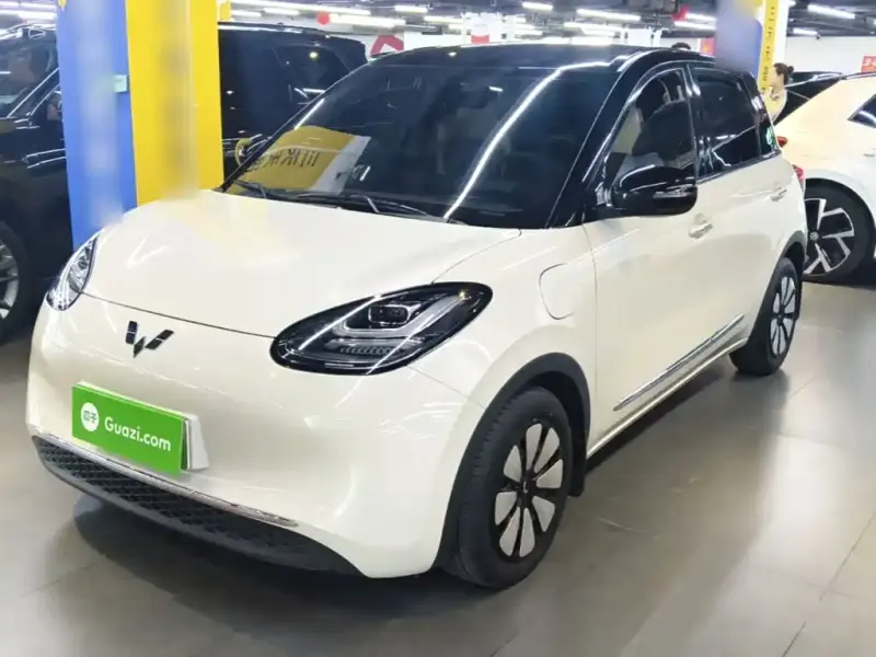 Wuling Bingo