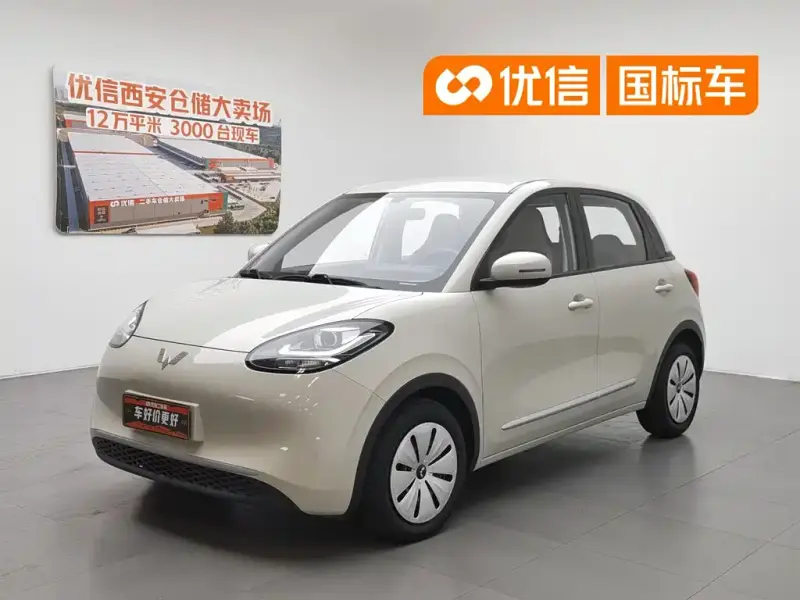 Wuling Bingo