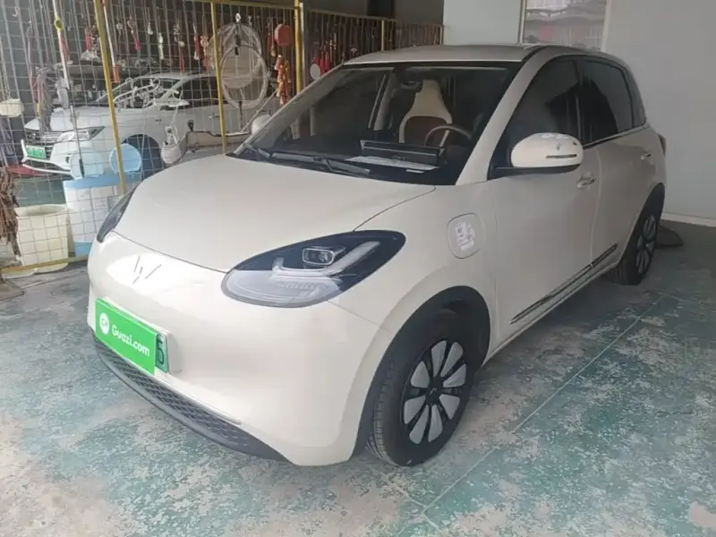 Wuling Bingo