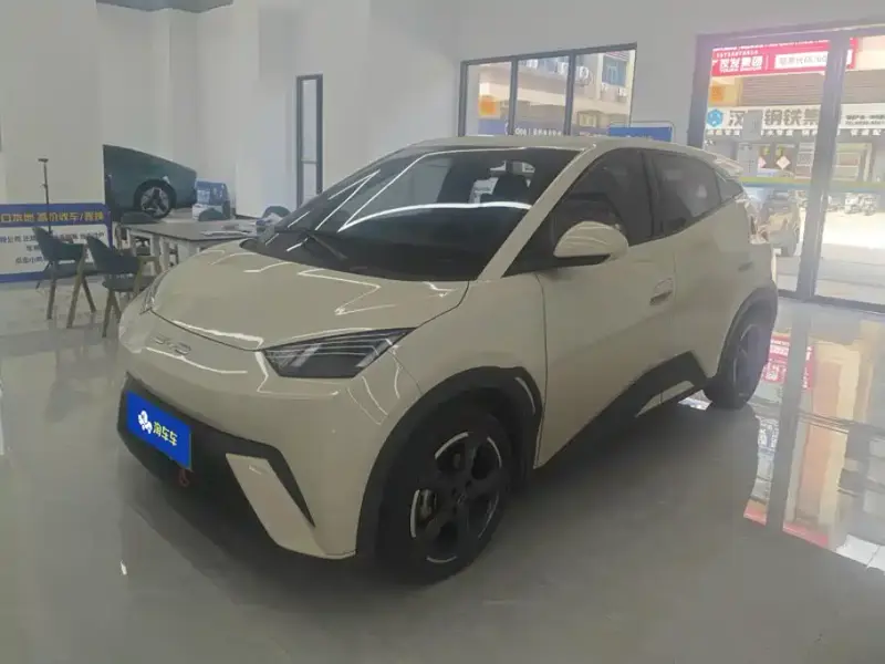 BYD Seagull