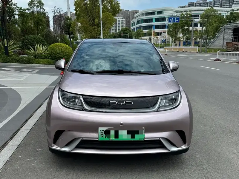BYD Dolphin