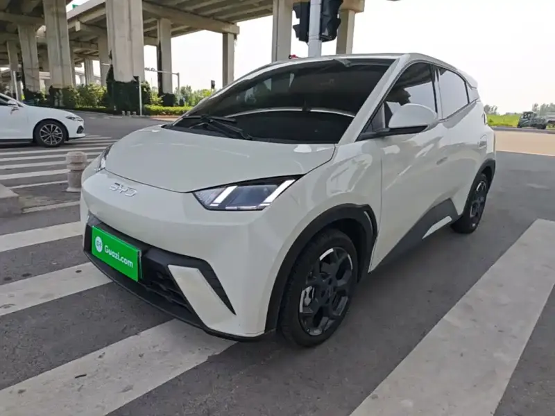 BYD Seagull