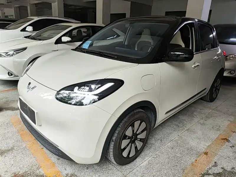 Wuling Bingo