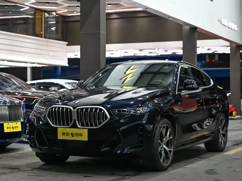BMW X6
