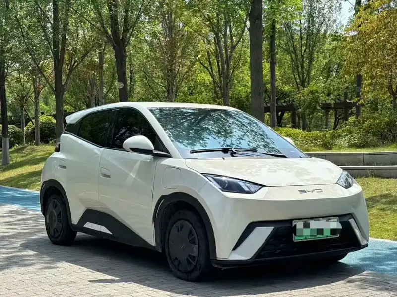 BYD Seagull
