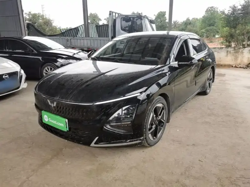 Wuling Starlight (Xingguang)