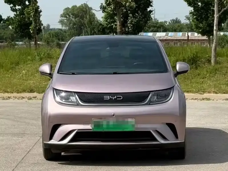 BYD Dolphin