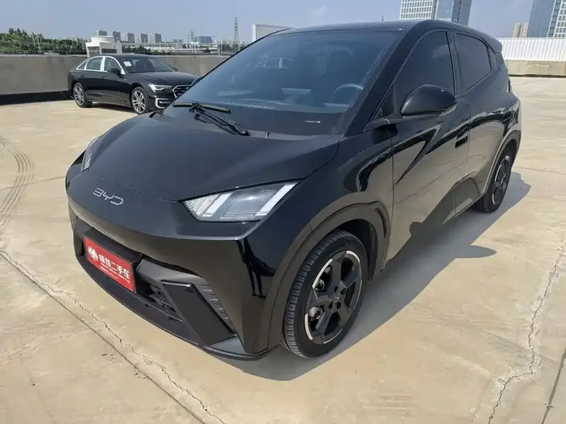 BYD Seagull