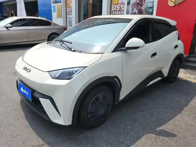 BYD Seagull