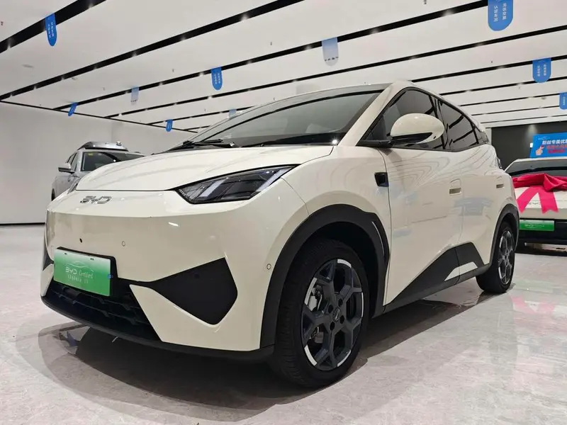 BYD Seagull