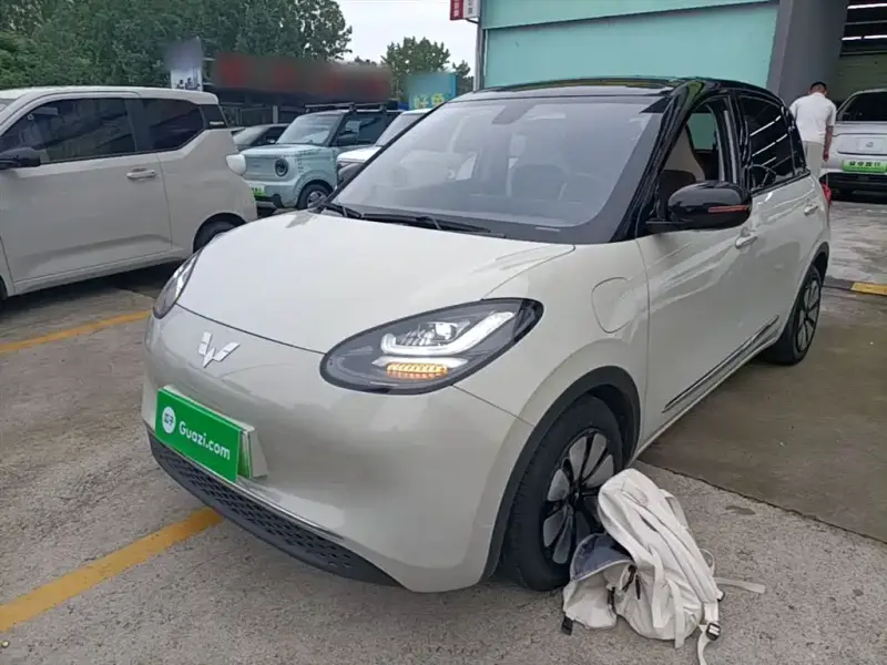 Wuling Bingo
