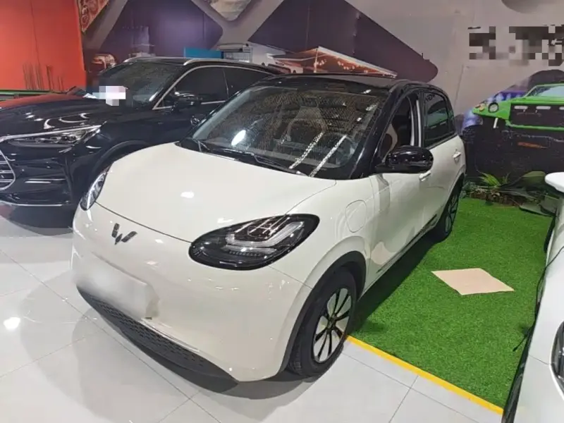 Wuling Bingo