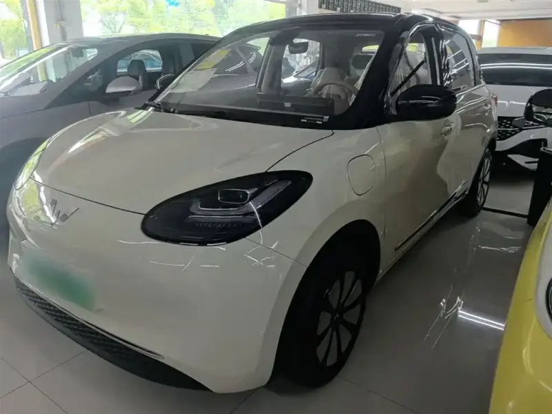 Wuling Bingo
