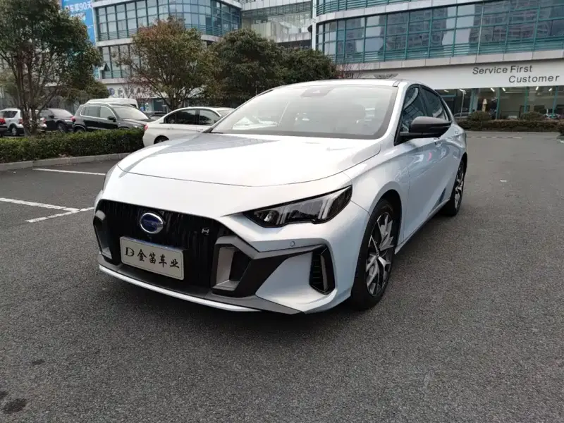 GAC Motor Empow (Shadow Leopard)