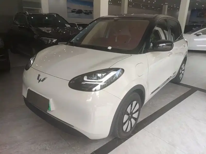 Wuling Bingo
