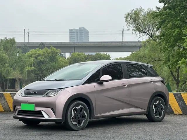 BYD Dolphin