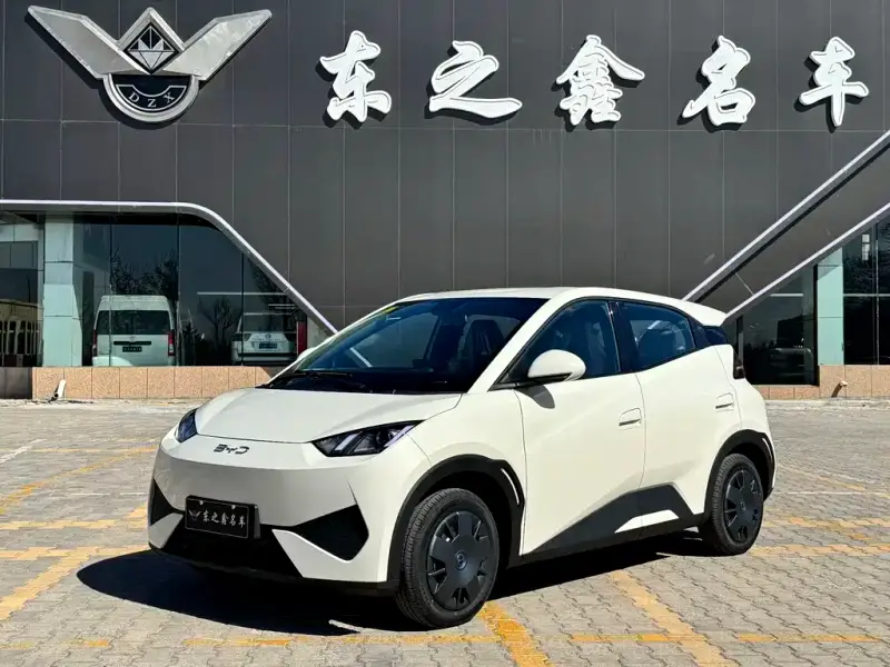 BYD Seagull