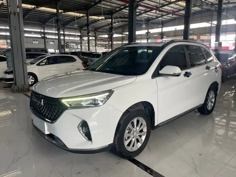 Haval M6