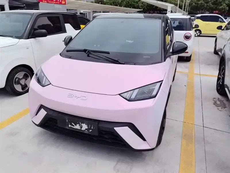 BYD Seagull