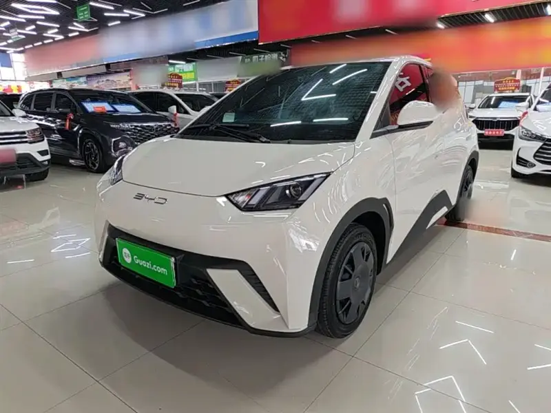 BYD Seagull