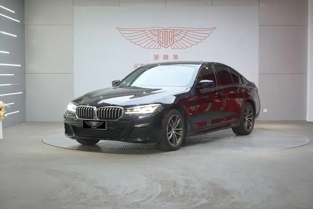 BMW 5-Series (Import)