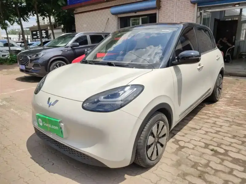 Wuling Bingo