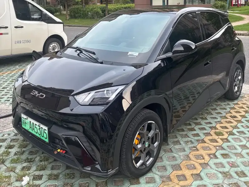 BYD Seagull