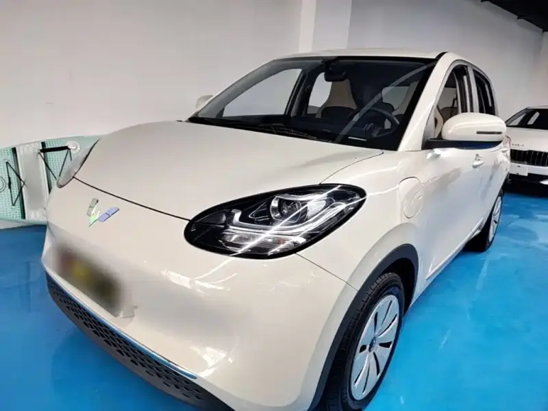 Wuling Bingo