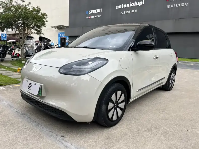 Wuling Bingo