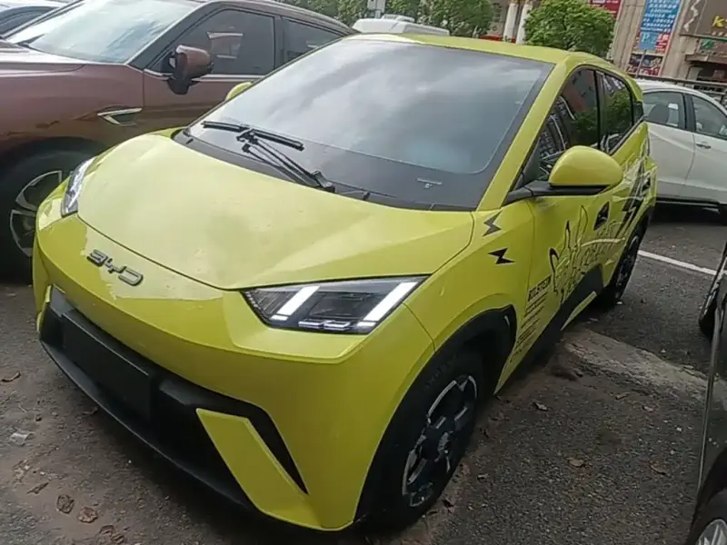 BYD Seagull