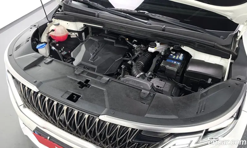 Kia Carnival (Canival)