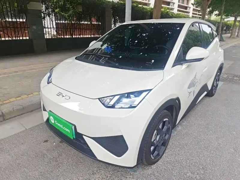 BYD Seagull