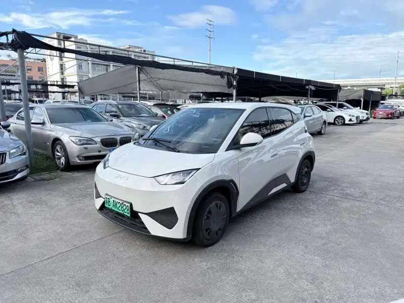 BYD Seagull