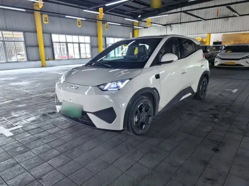 BYD Seagull