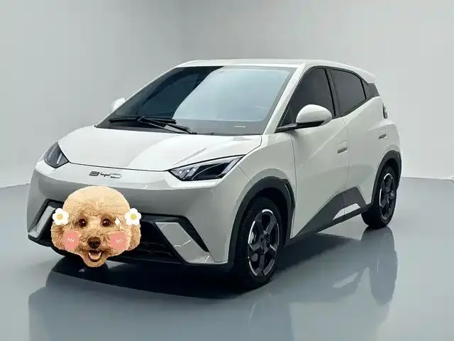 BYD Seagull