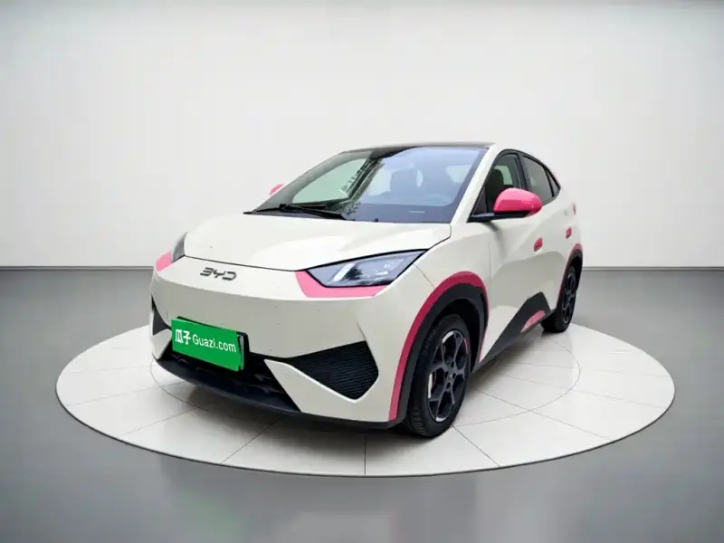 BYD Seagull