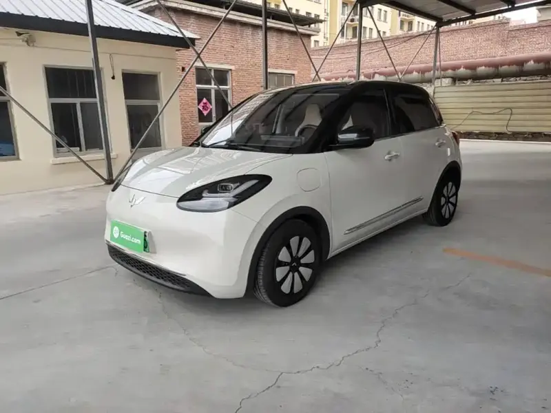 Wuling Bingo