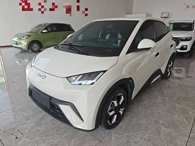 BYD Seagull