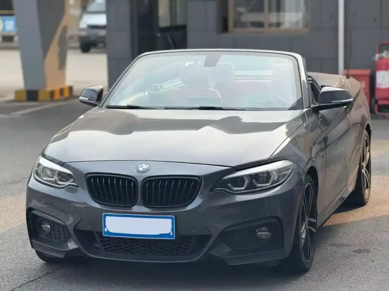 BMW 2 Series (Import)