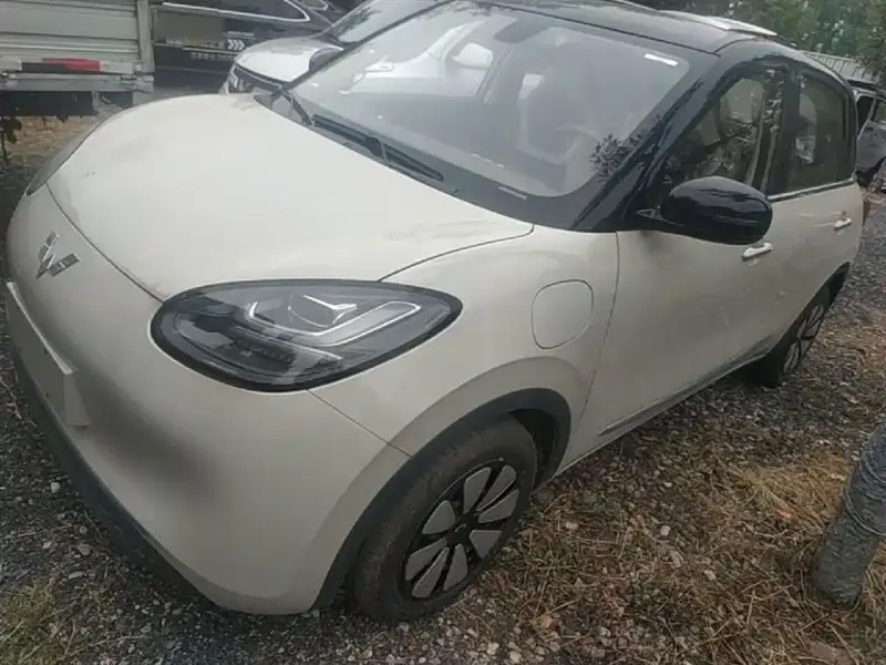 Wuling Bingo
