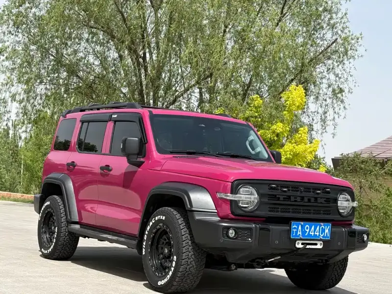 Tank 300