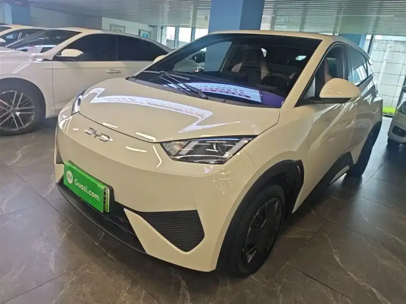 BYD Seagull
