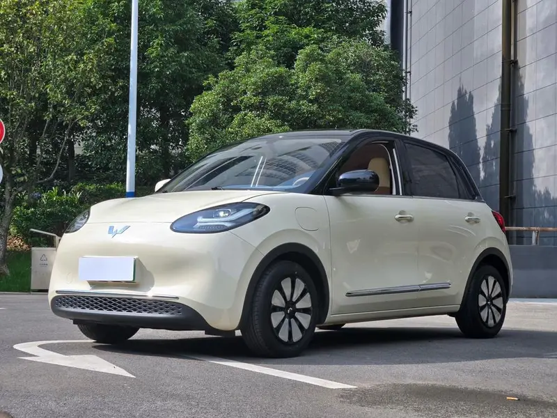 Wuling Bingo